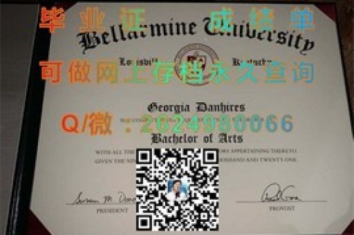 素林皇家大學(xué)學(xué)位證書，揭秘現(xiàn)代教育認(rèn)證的權(quán)威象征