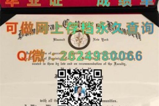 解碼頂尖商學(xué)院，里昂商學(xué)院成績單驚艷亮相