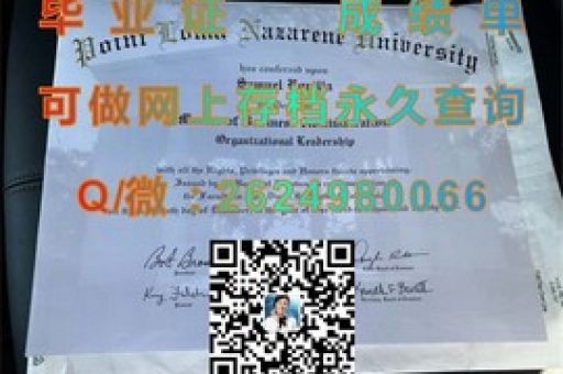 探索都柏林城市大學(xué)，揭秘學(xué)術(shù)成就背后的成績單奧秘