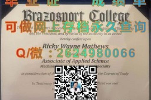 精英搖籃，埃爾姆斯圣母學(xué)院錄取通知書背后的榮耀時刻