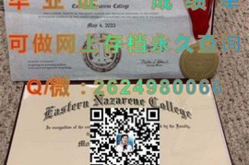科技精英搖籃，揭秘先進技術大學錄取背后的精彩故事